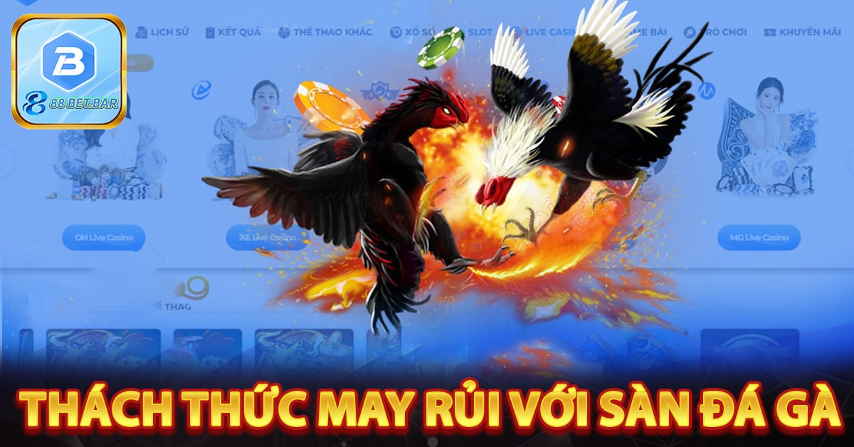 Thách thức may rủi với đá gà trực tuyến