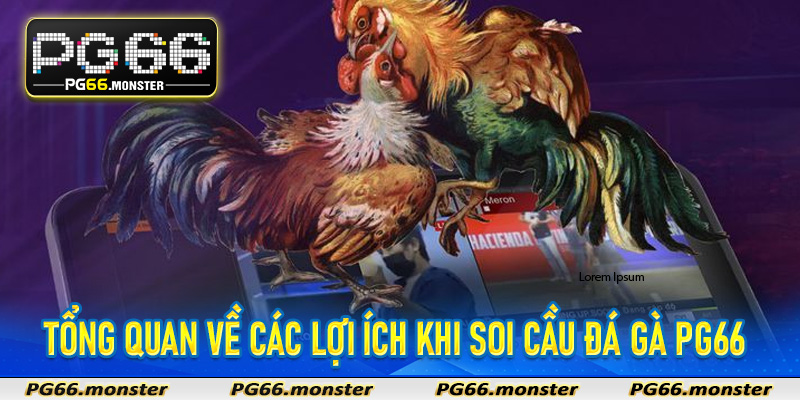 Tổng quan về các lợi ích khi soi cầu đá gà Pg66