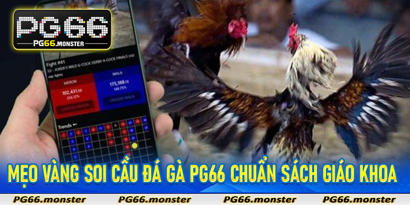Mẹo vàng soi cầu đá gà PG66 chuẩn sách giáo khoa