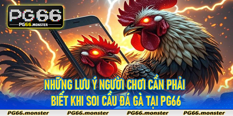Những lưu ý người chơi cần phải biết khi soi cầu đá gà tại PG66