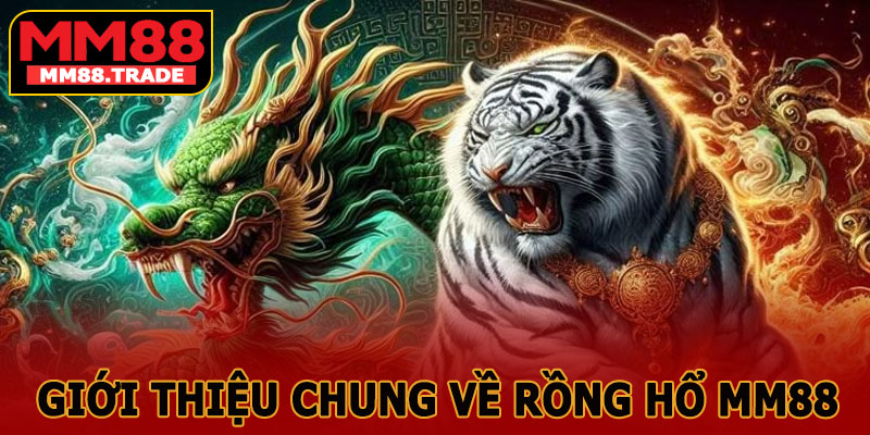 Giới Thiệu Chung Về Rồng Hổ MM88